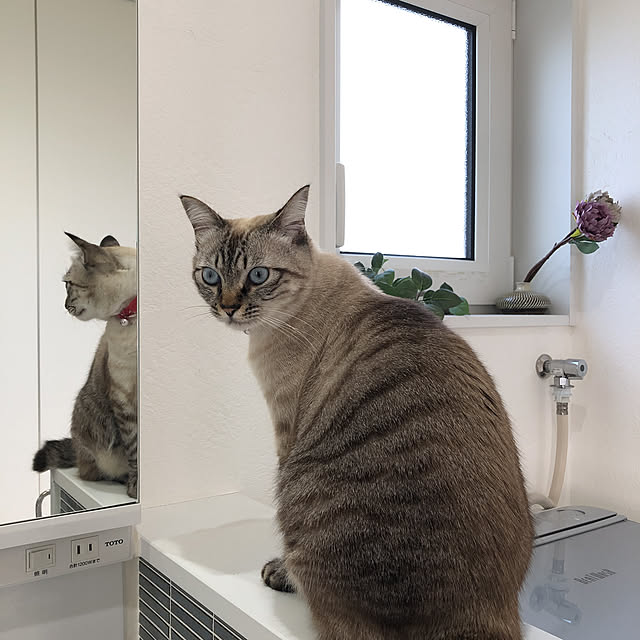 kuruさんの実例写真