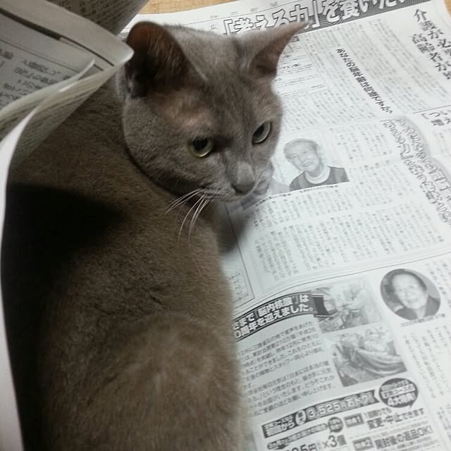 Yukikoさんの実例写真