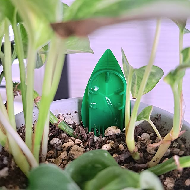 Jijiさんの部屋