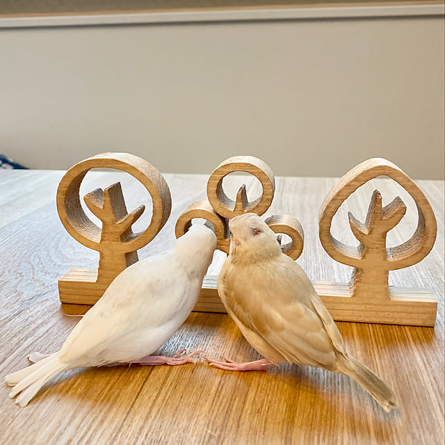 hananokaoriさんの実例写真