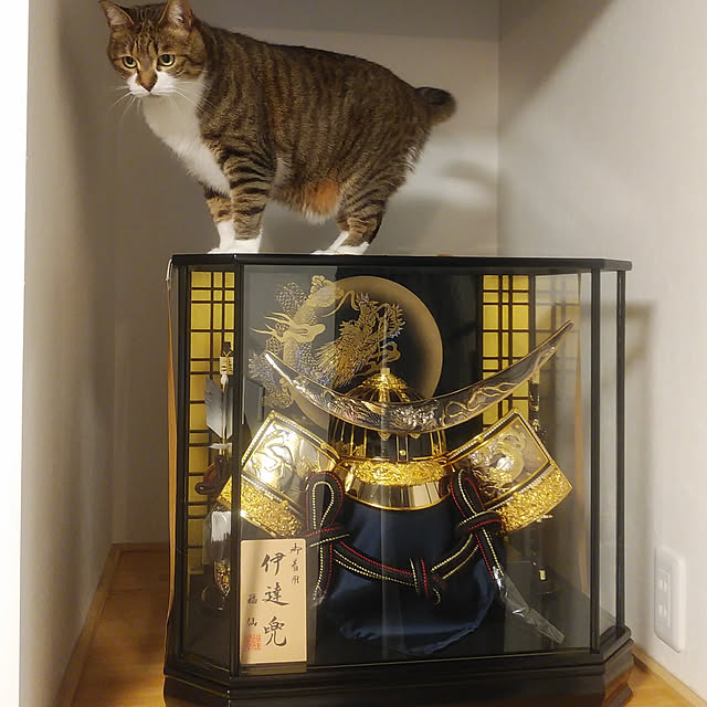 shiiiさんの実例写真