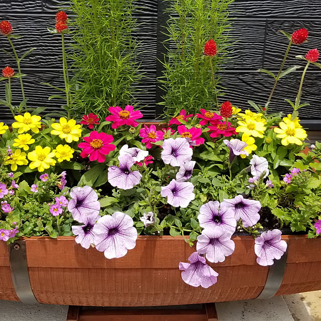 kayoko0119さんの実例写真