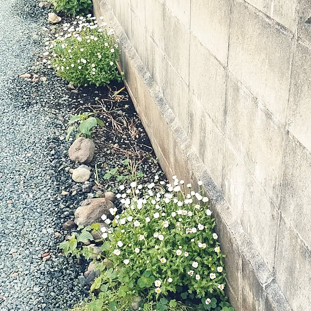 boston5757さんの部屋