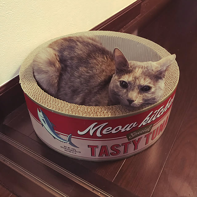 medamaさんの実例写真
