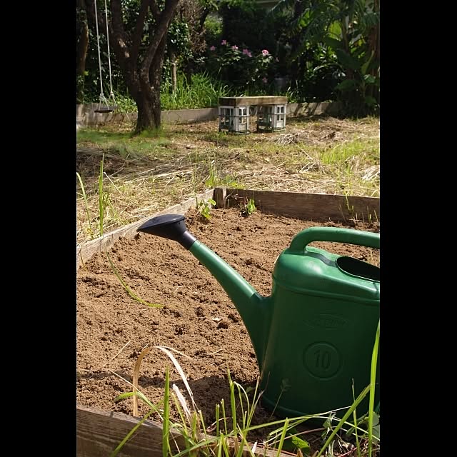 Maikoさんの実例写真