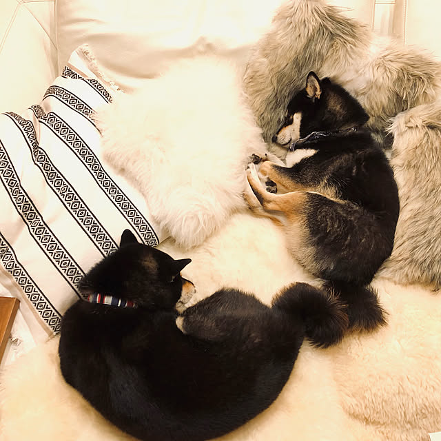nuruiさんの実例写真