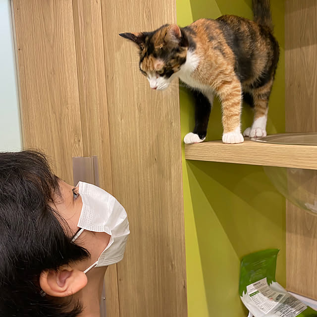 ohanaさんの部屋