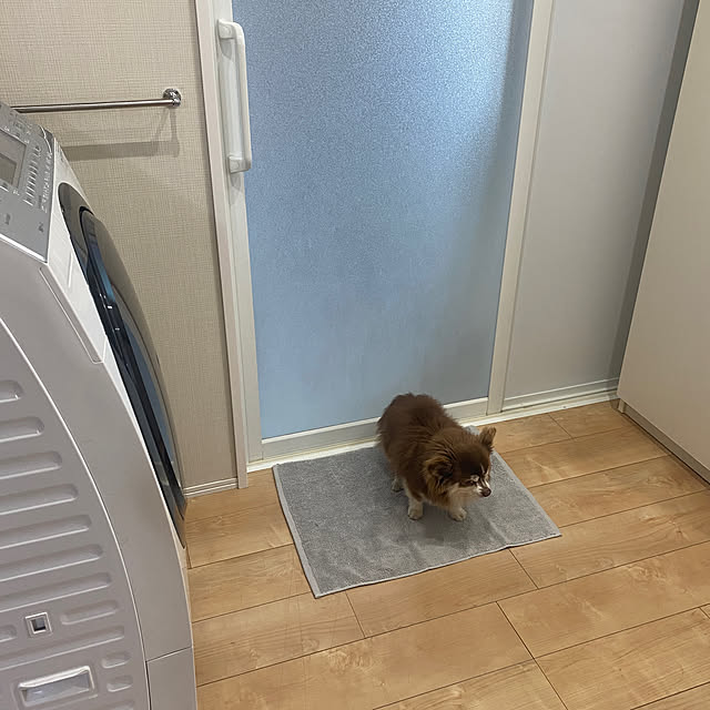 chIoeさんの実例写真