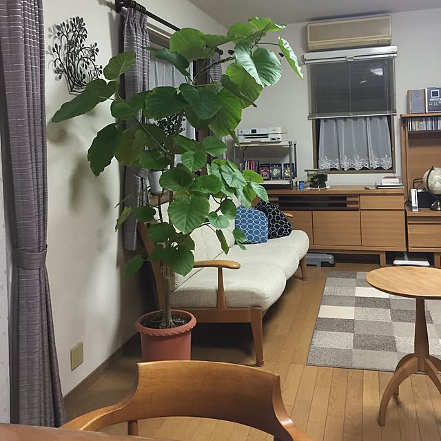 3eさんの実例写真