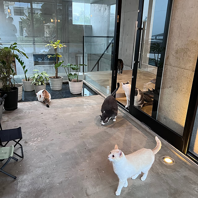 mashさんの実例写真