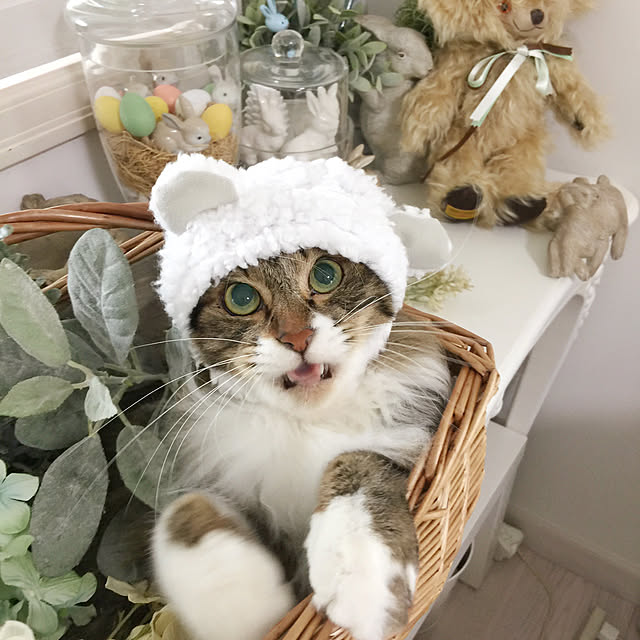 yuchiさんの実例写真