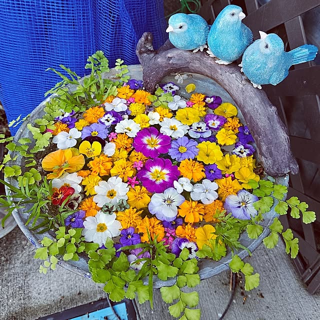 mocomocoさんの実例写真