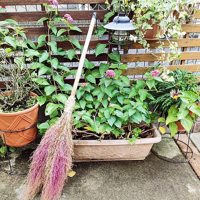 mofukoさんの実例写真