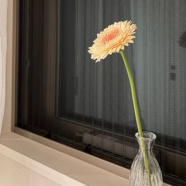 Remonさんの実例写真