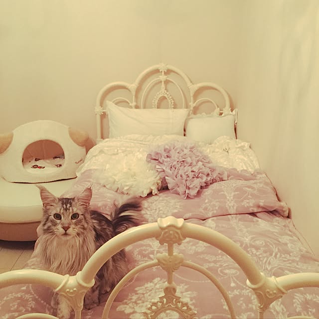 Jennyさんの実例写真
