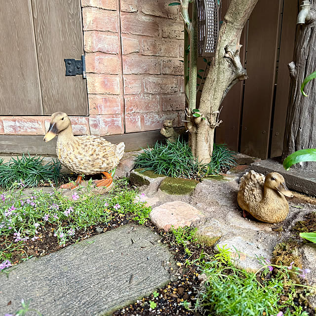 tabasaさんの実例写真