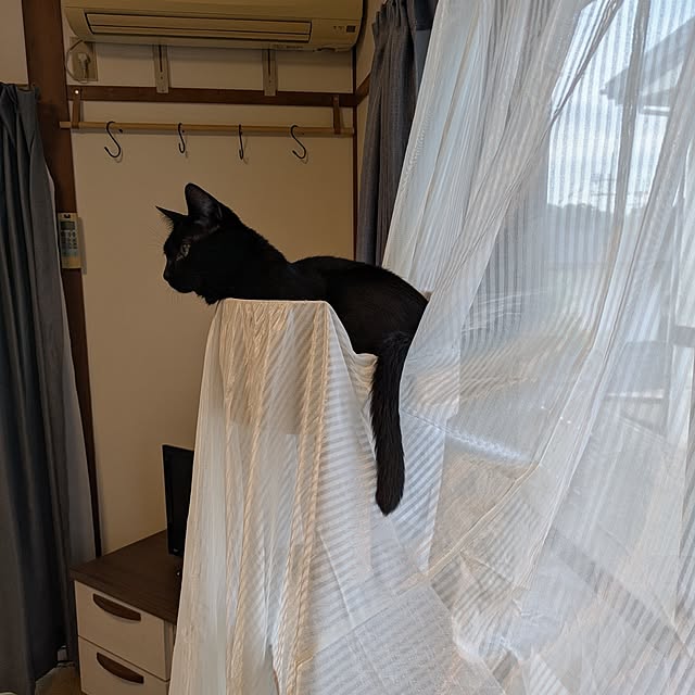asaさんの部屋