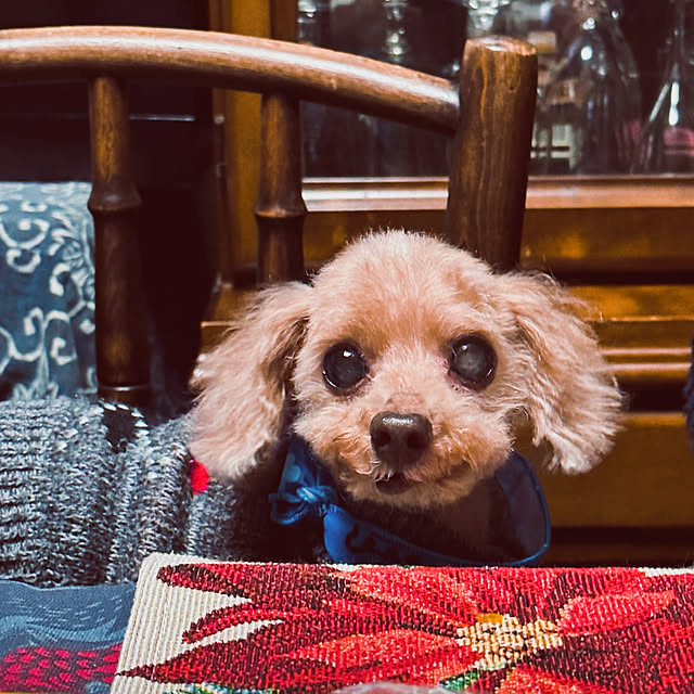 chacoさんの実例写真