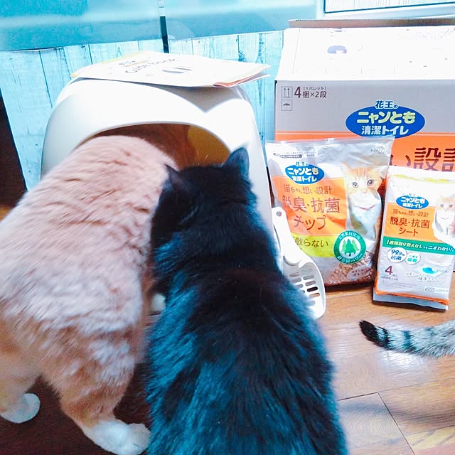 cocoroさんの部屋