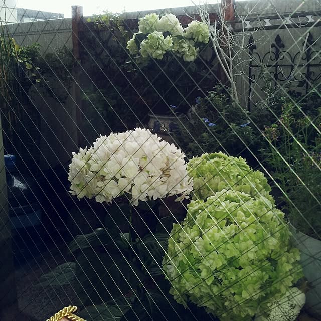 emmyyさんの実例写真