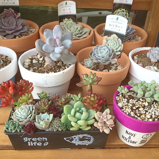 Kyonさんの実例写真