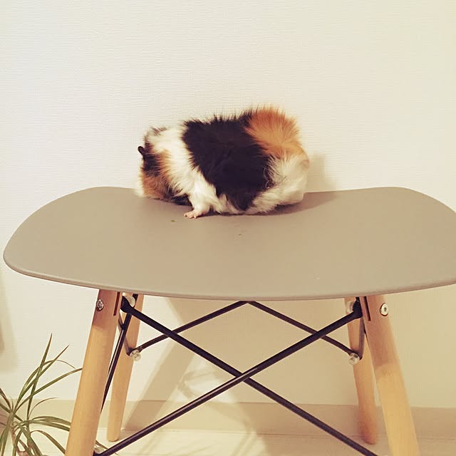 yossiさんの実例写真