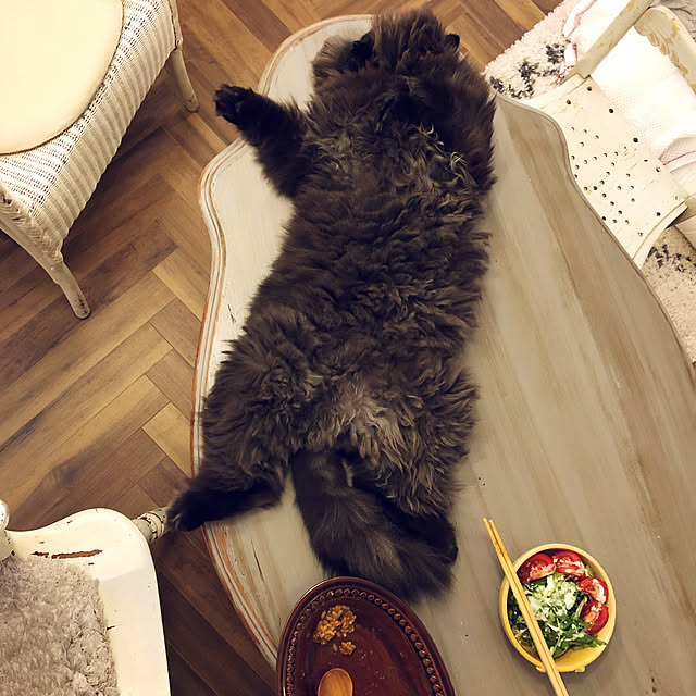 enonさんの実例写真