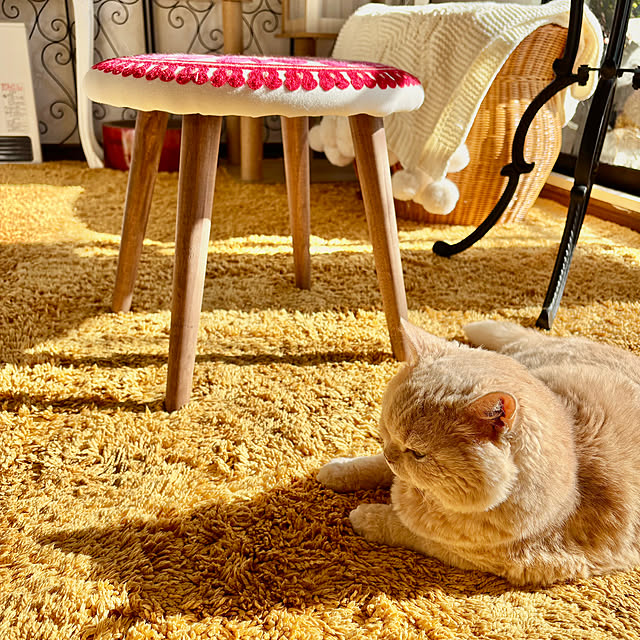 naokoさんの実例写真