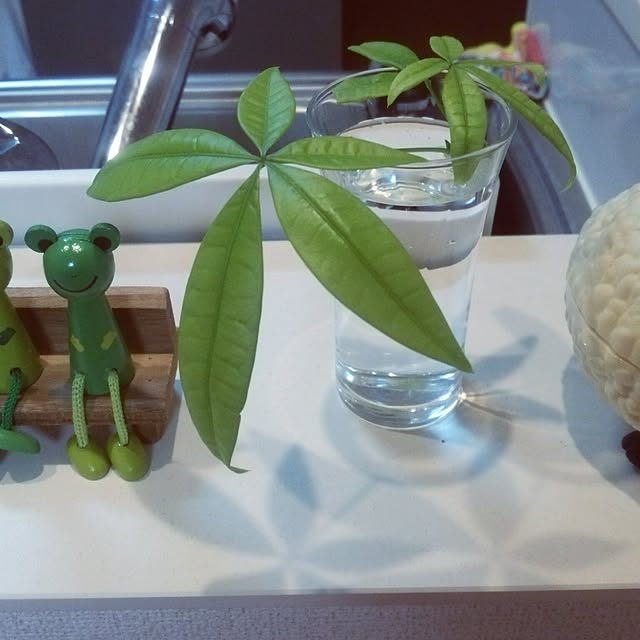 Hisaeさんの実例写真