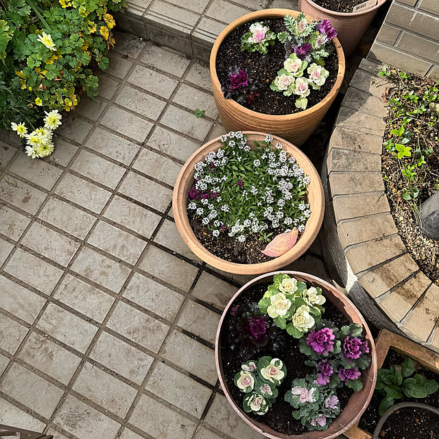 mamizaさんの部屋