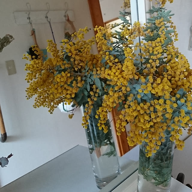 renyanyaさんの実例写真