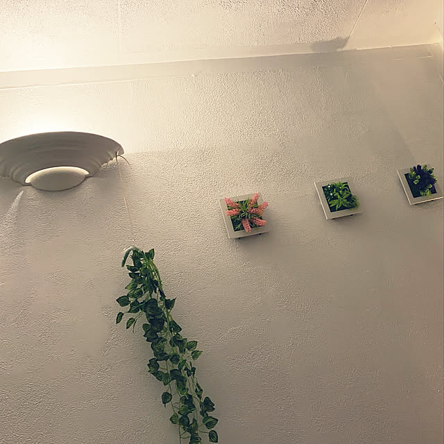 nico2525さんの実例写真