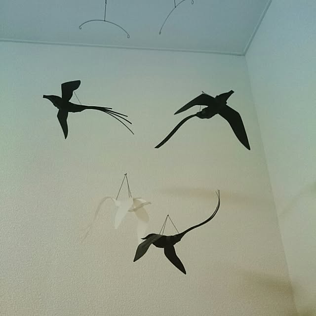 haicoさんの実例写真