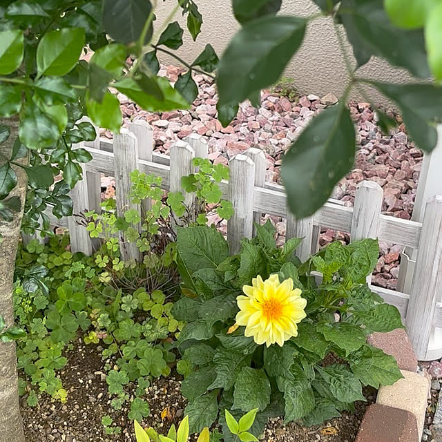 miyu39さんの部屋