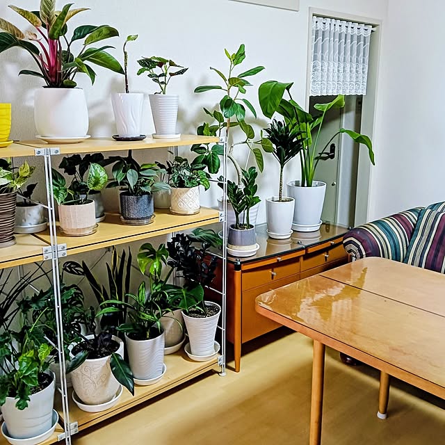 hanachanさんの部屋