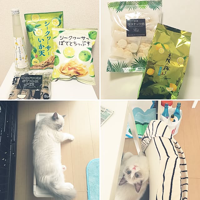 rbesfさんの実例写真