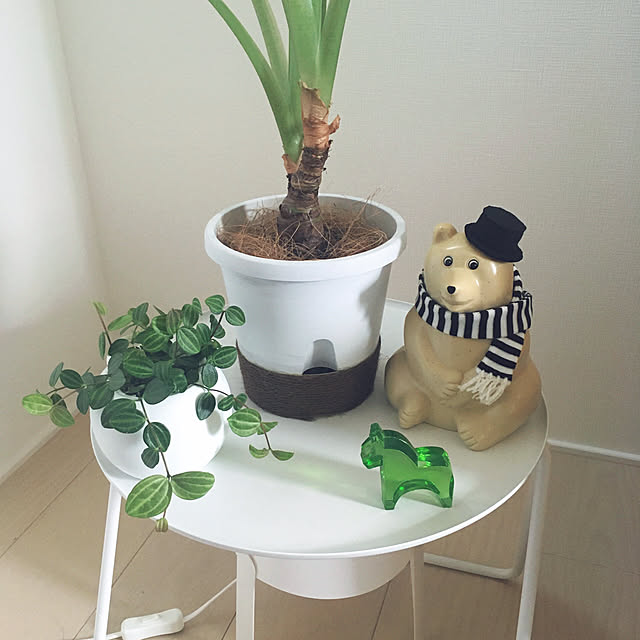 suna_kitsuneさんの実例写真