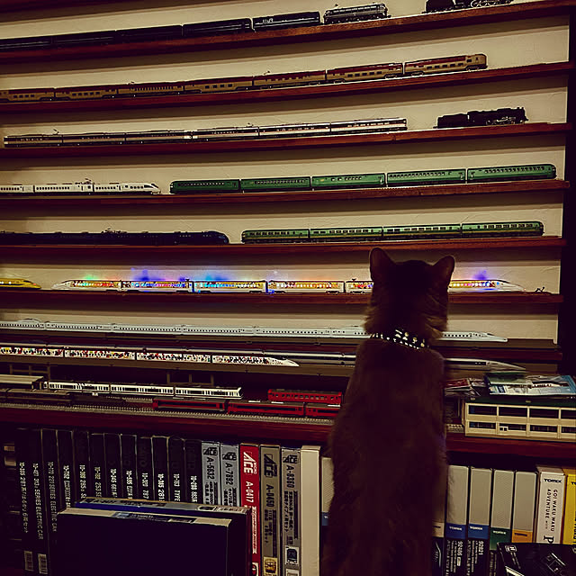 paradise_viewさんの実例写真