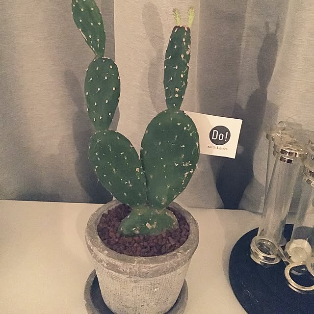 chiikokoさんの実例写真