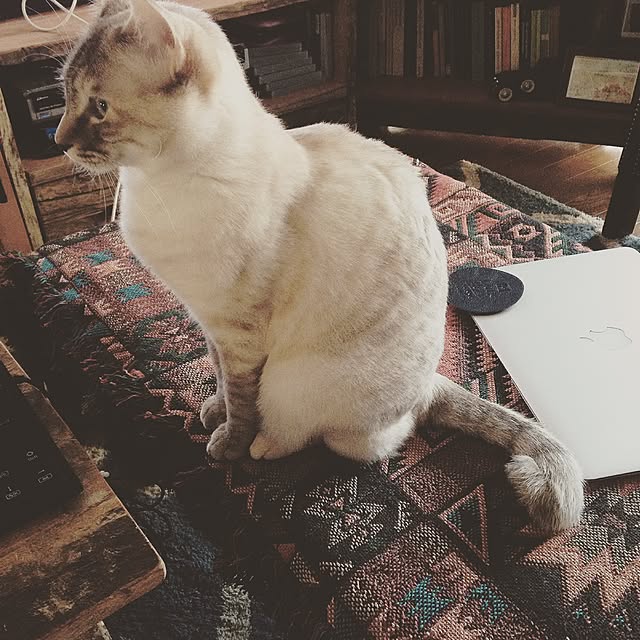 Naoki.さんの実例写真