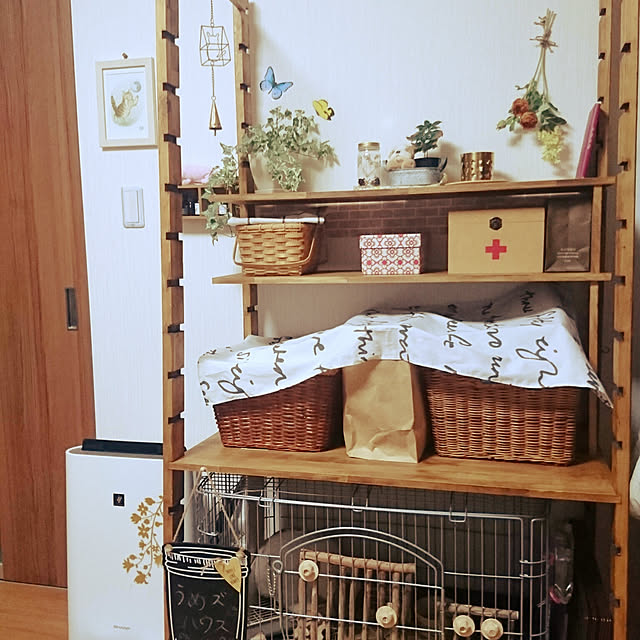 swallowtailさんの実例写真