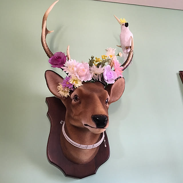 shigimiさんの実例写真