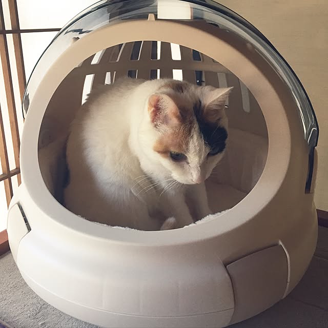 yocchiさんの実例写真