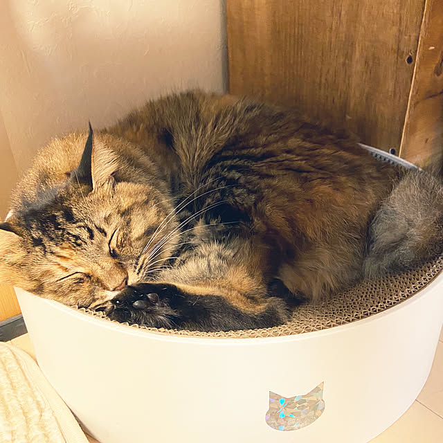 gachaさんの部屋