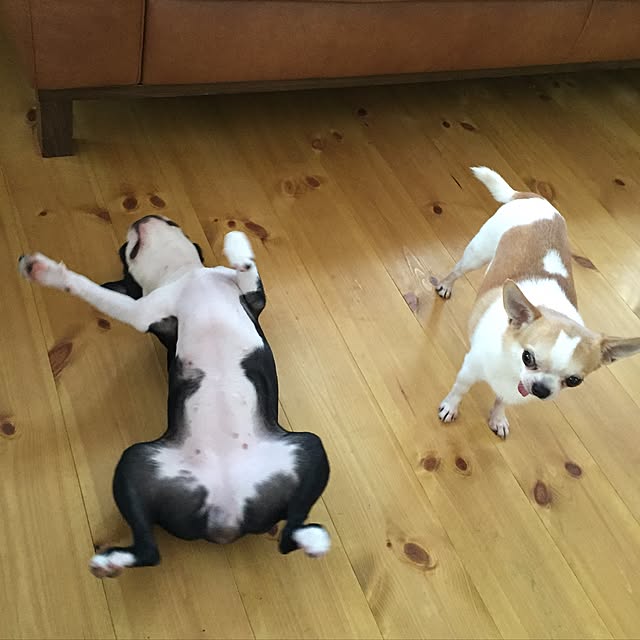 yumiさんの実例写真