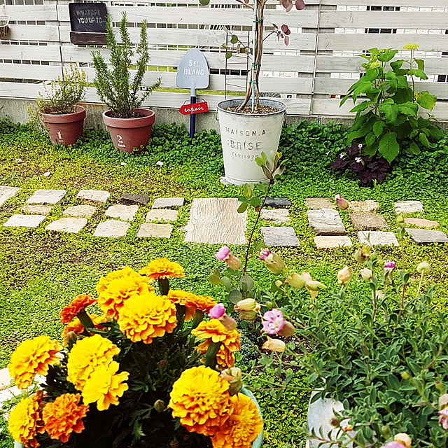 A.hさんの実例写真