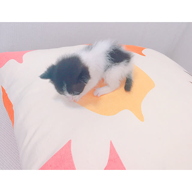 nyan.73さんの実例写真