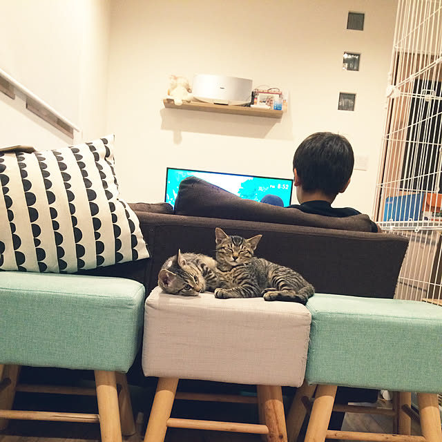 maplecreamcheeseさんの実例写真