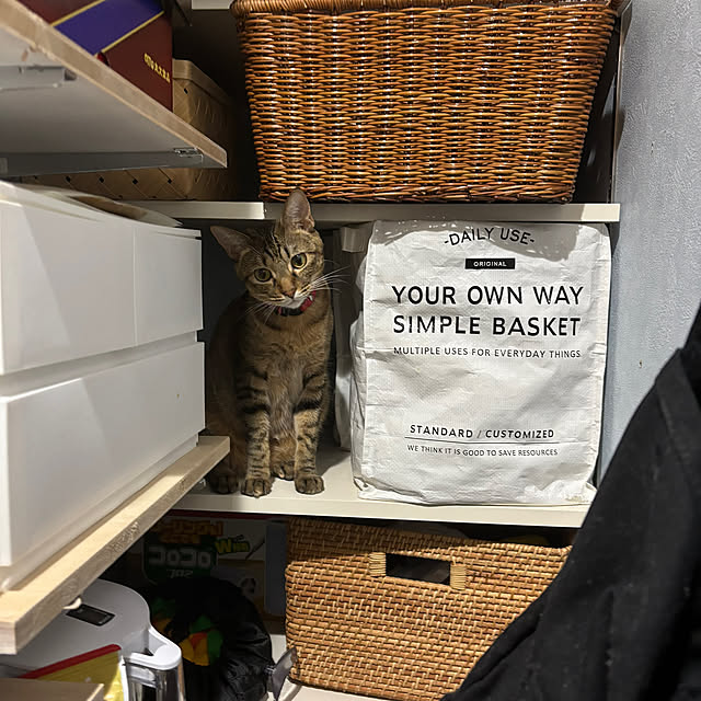 niko.mamさんの部屋