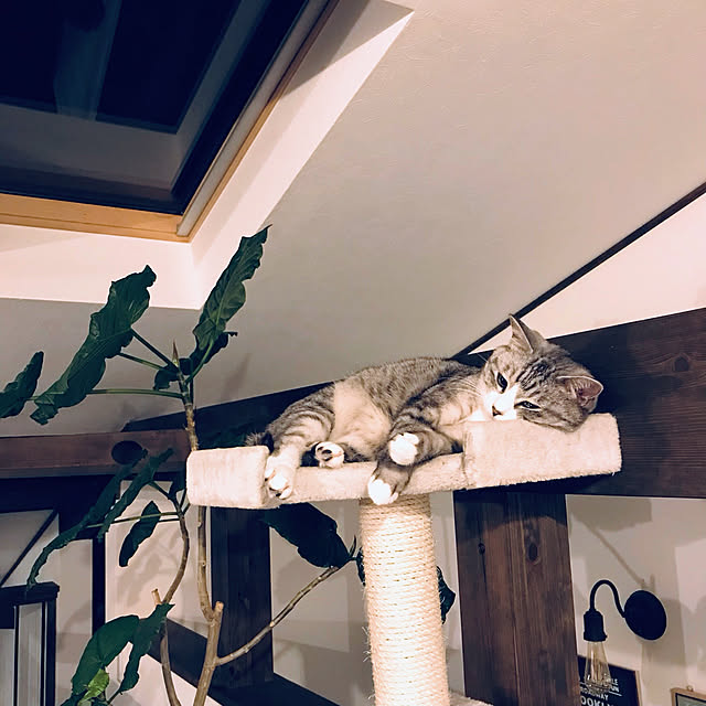 na-sanさんの実例写真
